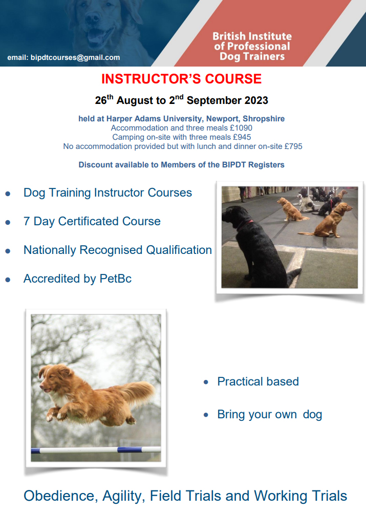 Dog training store courses near me